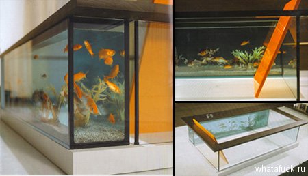 aquarium10